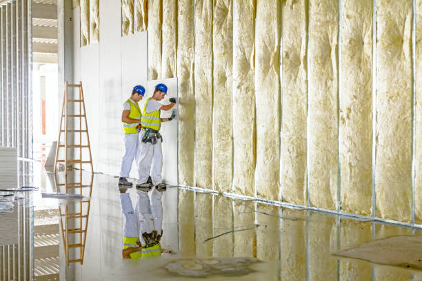 Best Cellulose Insulation in Laurel Hollow, NY